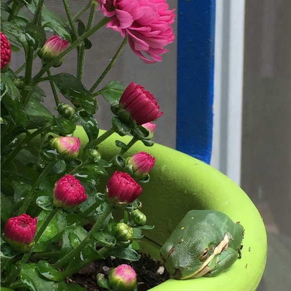 Meet your Posher, Lori - Picture 6 of 10